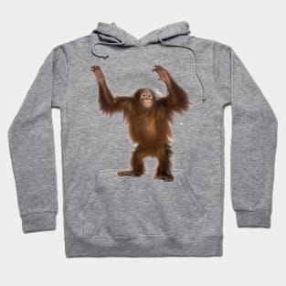 Orang-utan monkey Hoodie